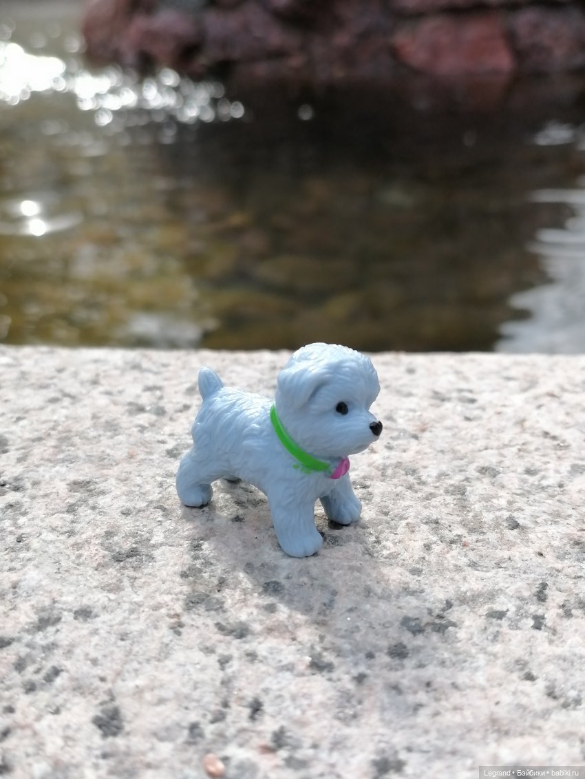 Санкт-Петербург: прогулка с собачками. У фонтанов (фото 5)