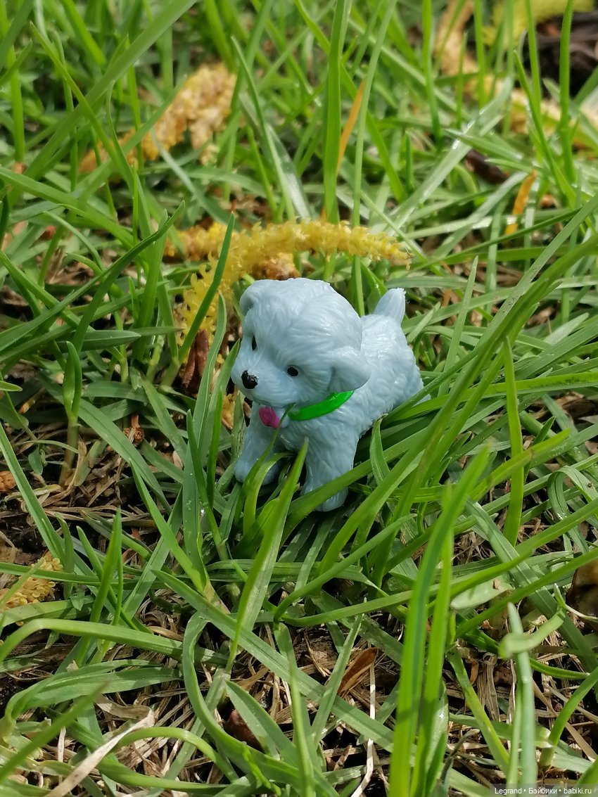 Санкт-Петербург: прогулка с собачками. Таврический сад