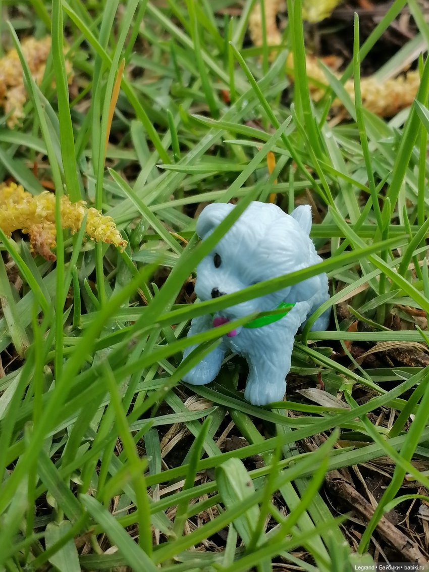 Санкт-Петербург: прогулка с собачками. Таврический сад