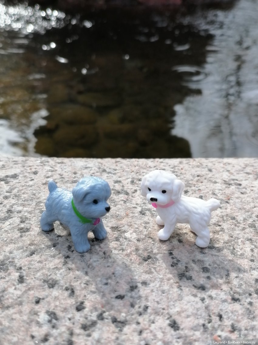 Санкт-Петербург: прогулка с собачками. У фонтанов (фото 8)