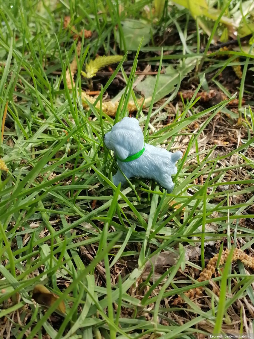 Санкт-Петербург: прогулка с собачками. Таврический сад