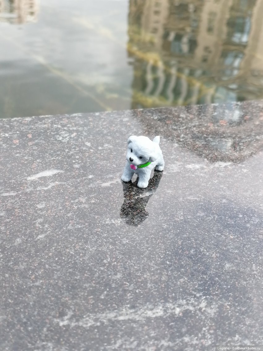 Санкт-Петербург: прогулка с собачками. У фонтанов