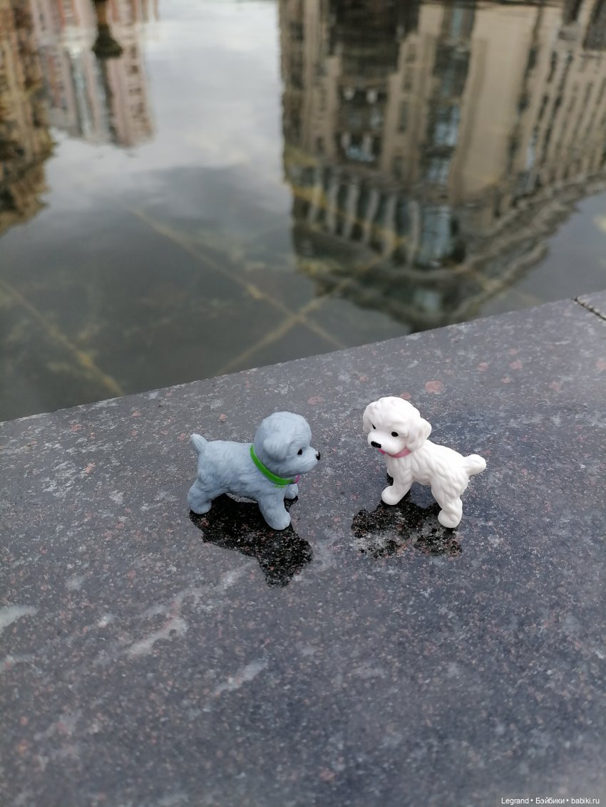 Санкт-Петербург: прогулка с собачками. У фонтанов