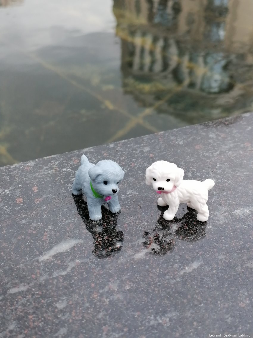 Санкт-Петербург: прогулка с собачками. У фонтанов