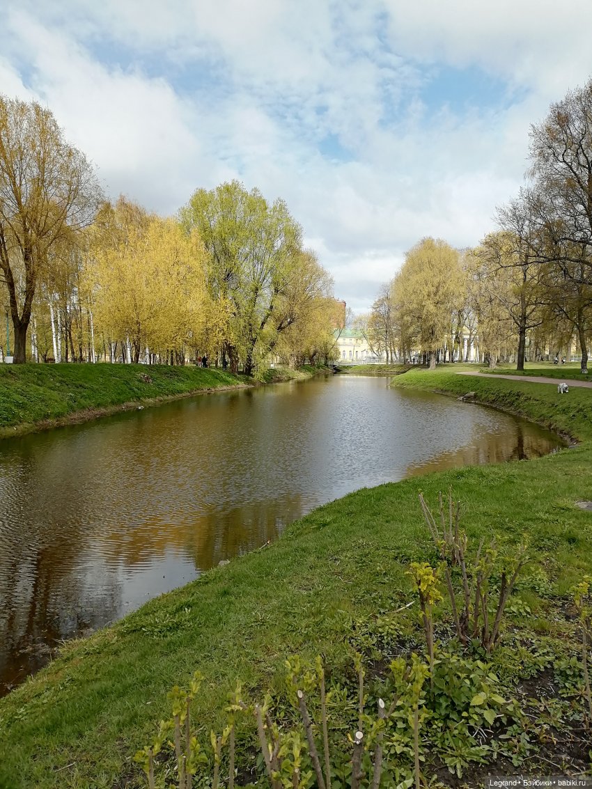 Санкт-Петербург: прогулка с собачками. Таврический сад (фото 8)