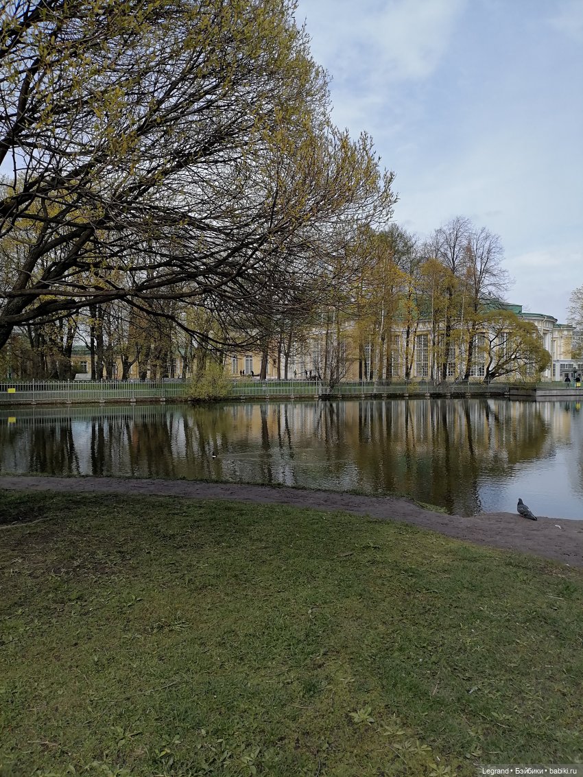 Санкт-Петербург: прогулка с собачками. Таврический сад