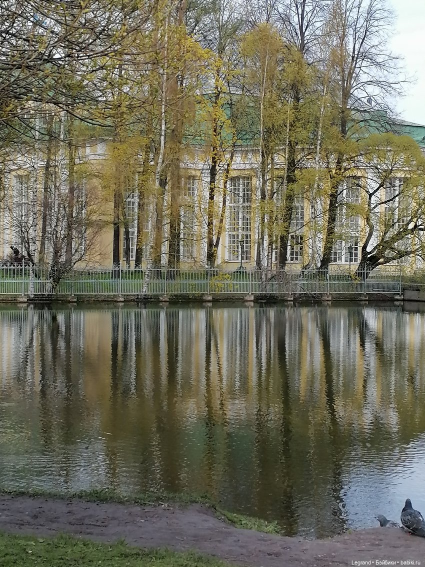 Санкт-Петербург: прогулка с собачками. Таврический сад