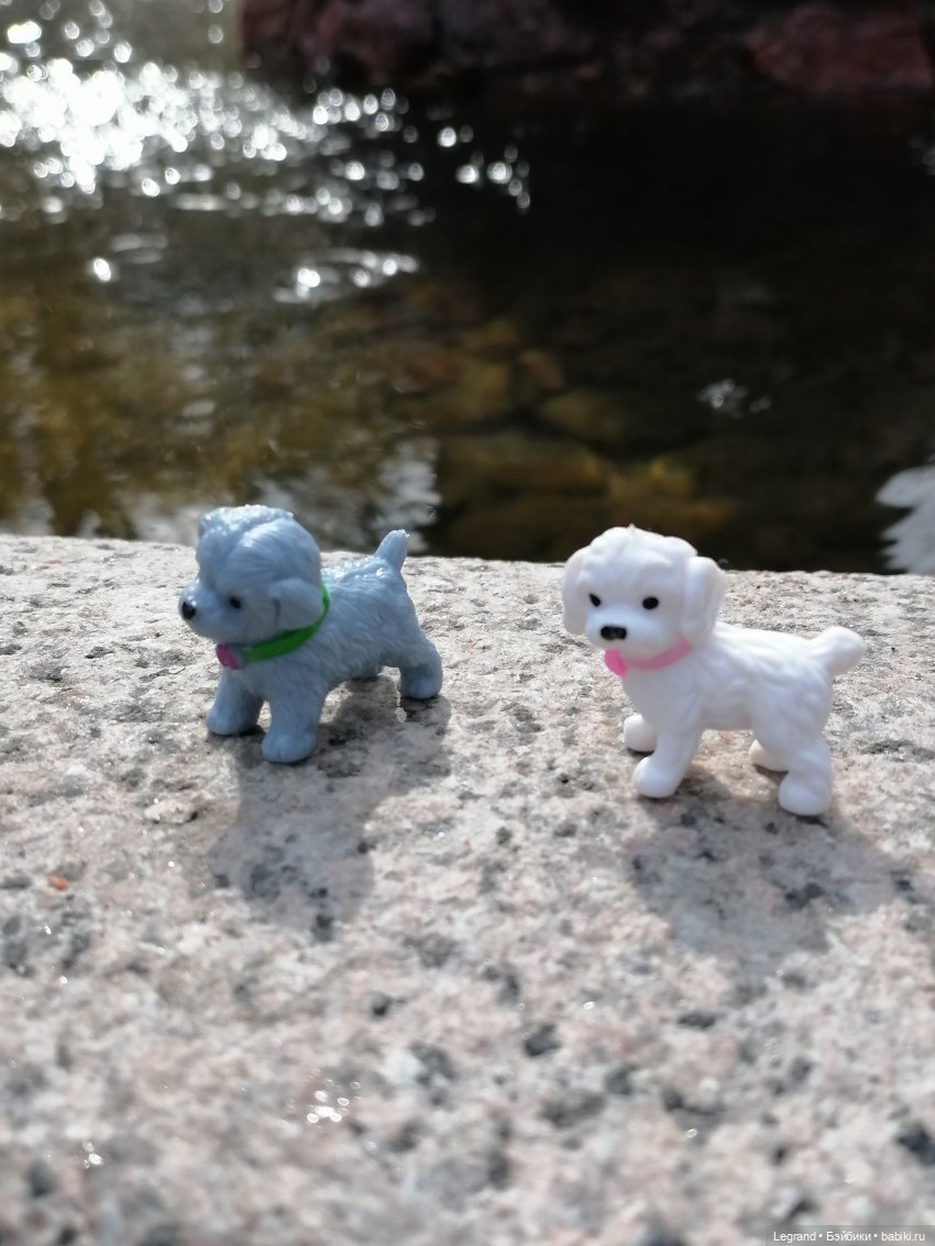 Санкт-Петербург: прогулка с собачками. У фонтанов