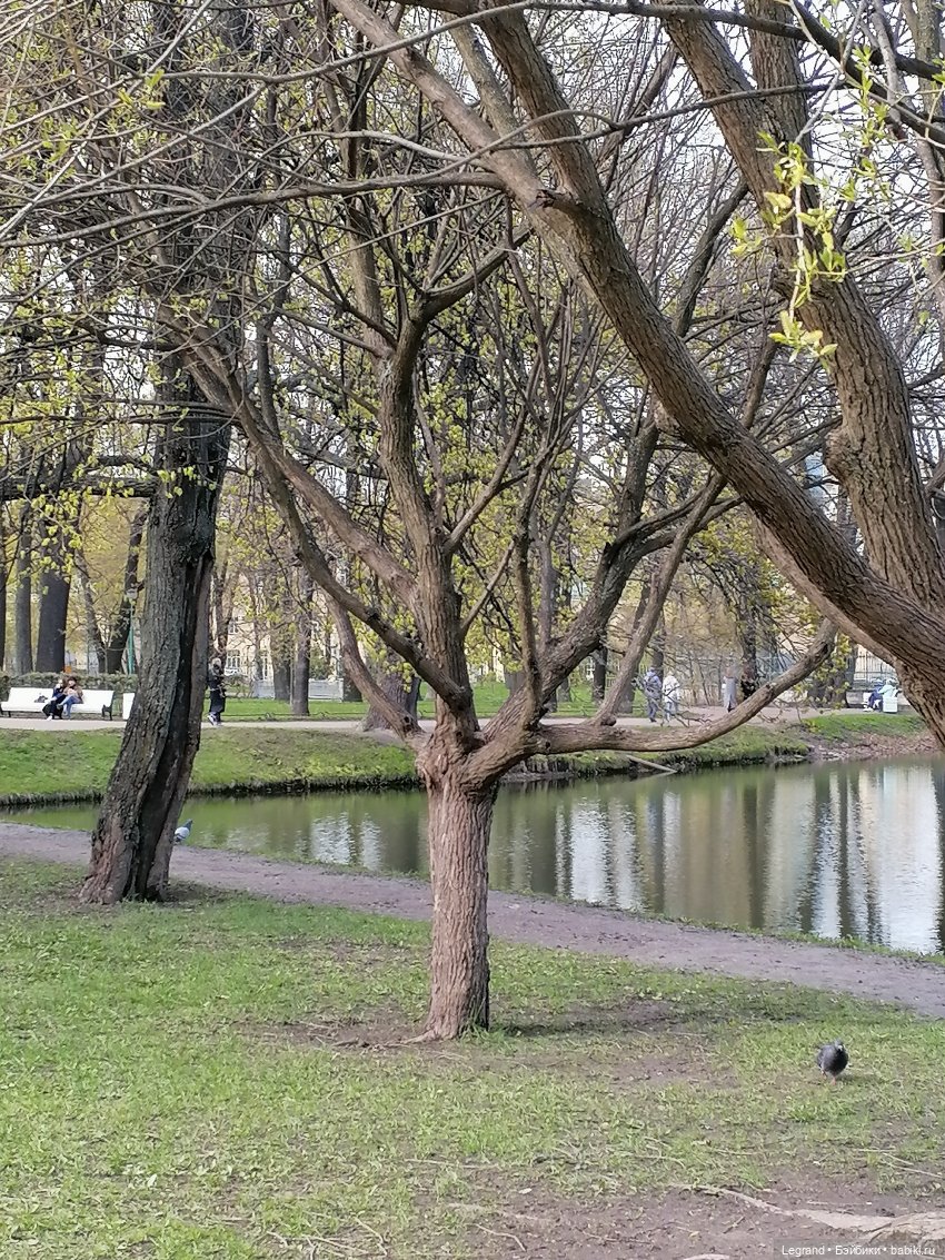 Санкт-Петербург: прогулка с собачками. Таврический сад
