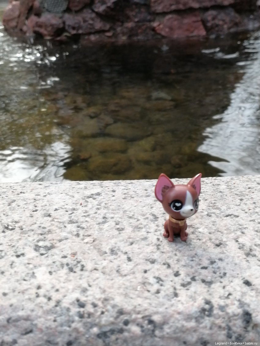 Санкт-Петербург: прогулка с собачками. У фонтанов