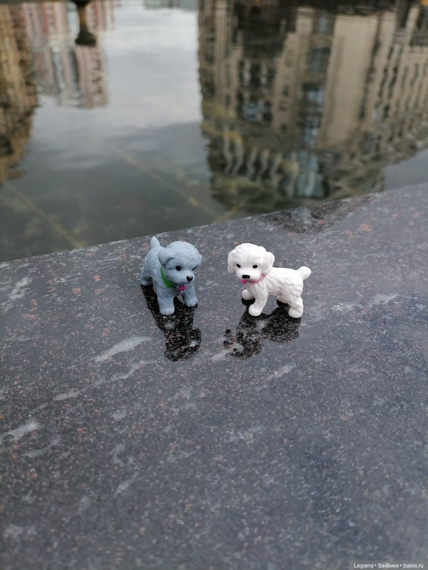 Санкт-Петербург: прогулка с собачками. У фонтанов