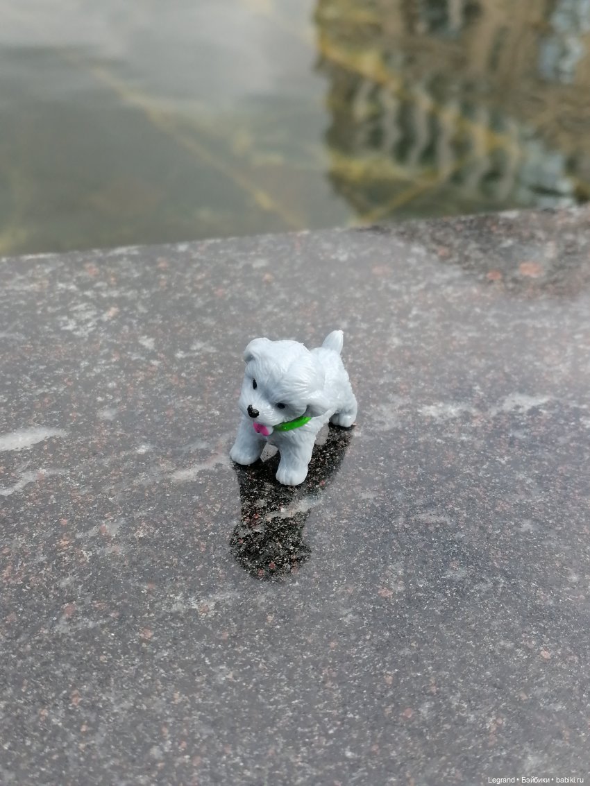 Санкт-Петербург: прогулка с собачками. У фонтанов