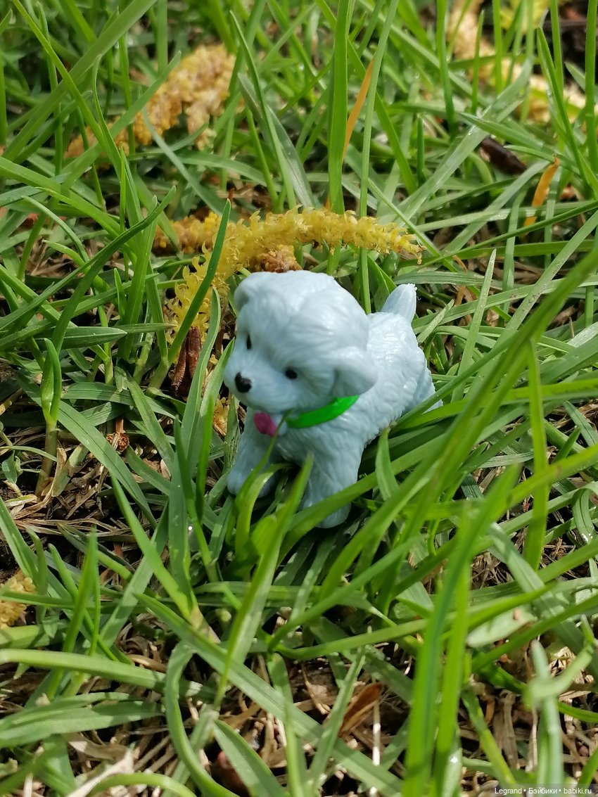 Санкт-Петербург: прогулка с собачками. Таврический сад