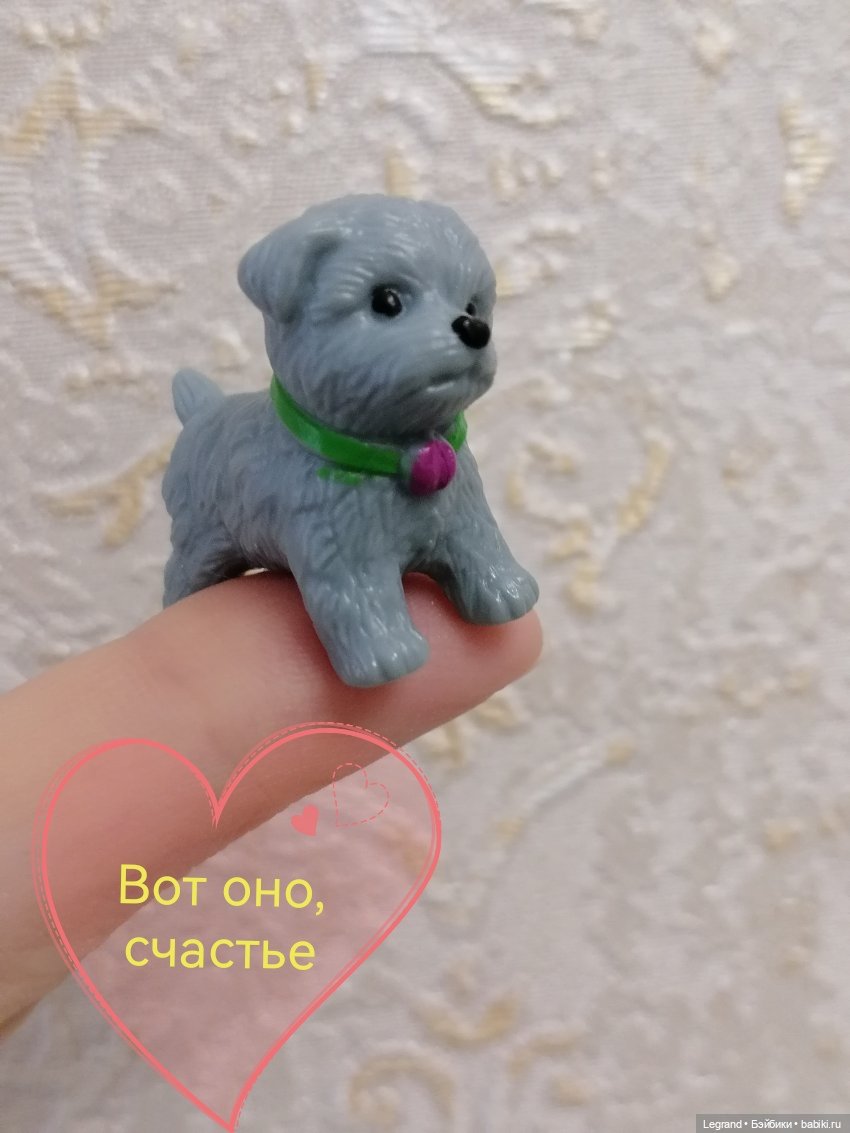 Санкт-Петербург: прогулка с собачками. Таврический сад