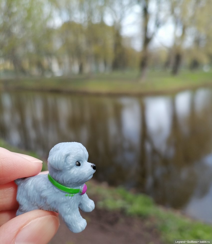 Санкт-Петербург: прогулка с собачками. Таврический сад