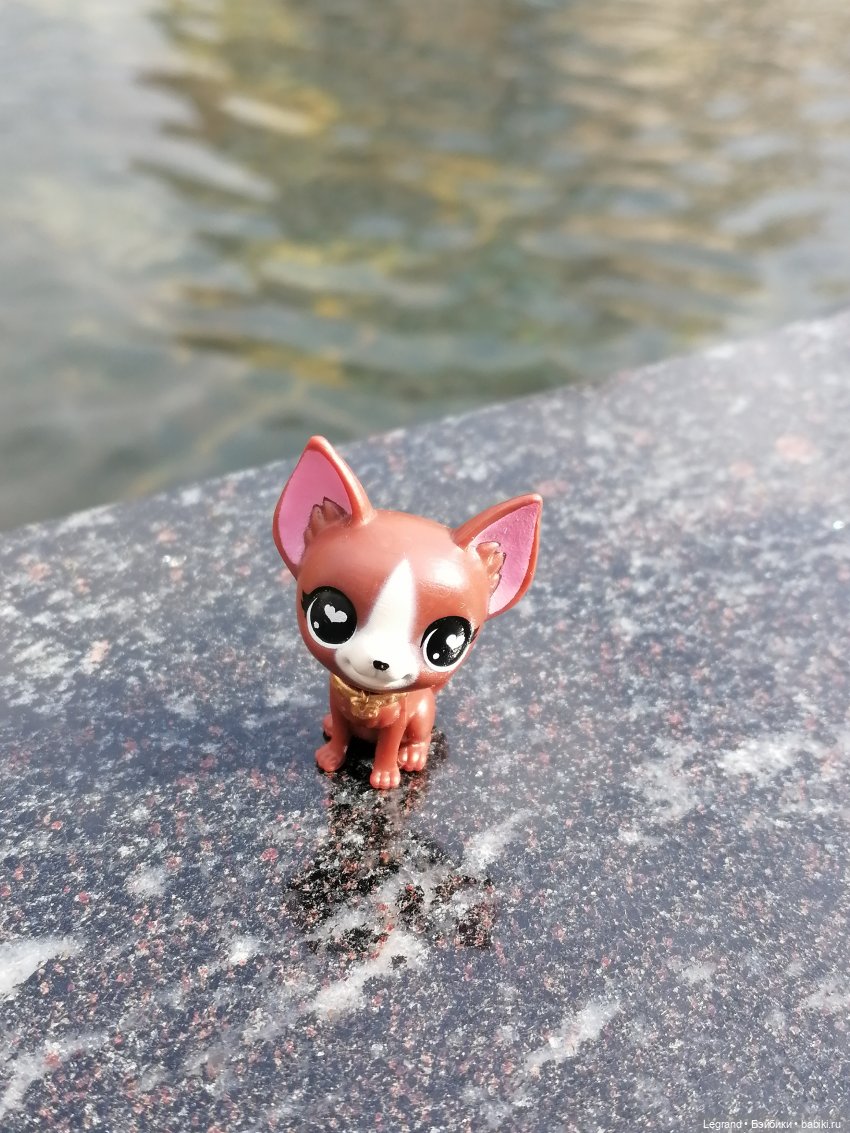 Санкт-Петербург: прогулка с собачками. У фонтанов