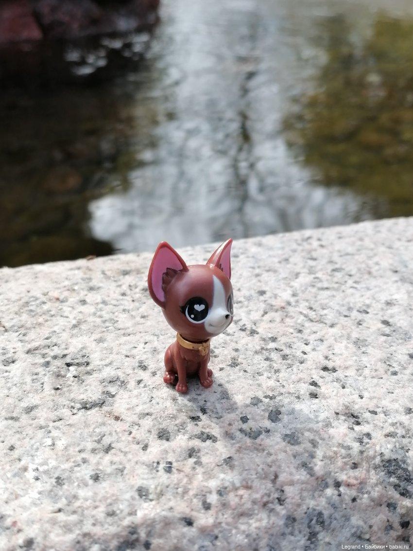 Санкт-Петербург: прогулка с собачками. У фонтанов