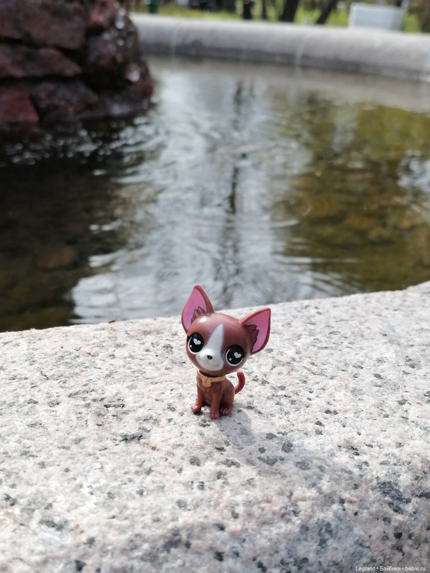 Санкт-Петербург: прогулка с собачками. У фонтанов