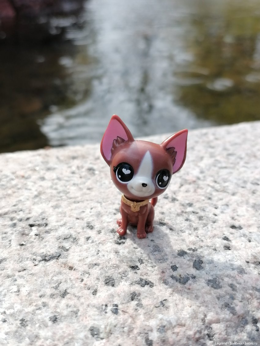 Санкт-Петербург: прогулка с собачками. У фонтанов