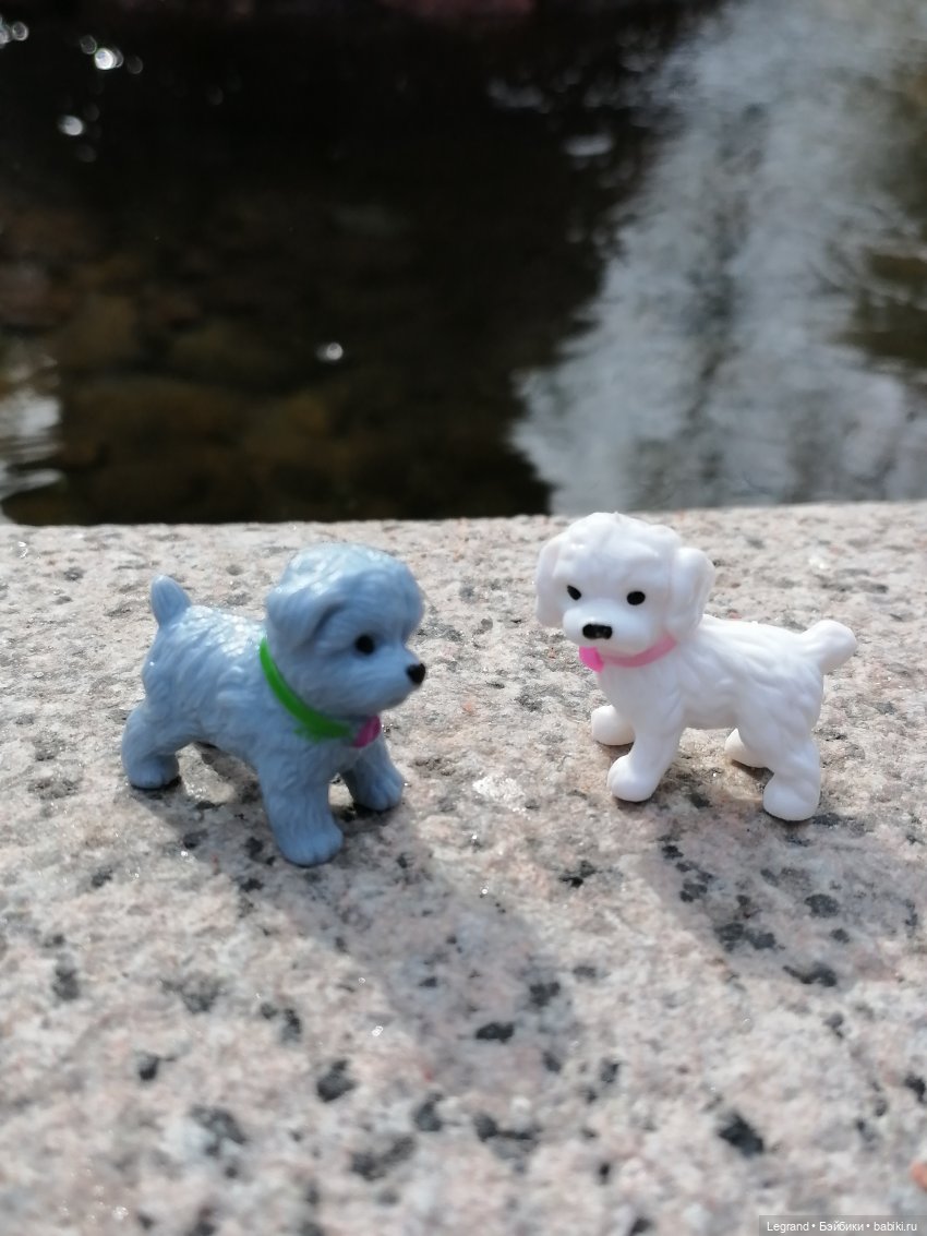 Санкт-Петербург: прогулка с собачками. У фонтанов (фото 10)