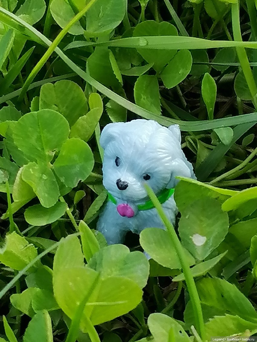 Санкт-Петербург: прогулка с собачками. Таврический сад