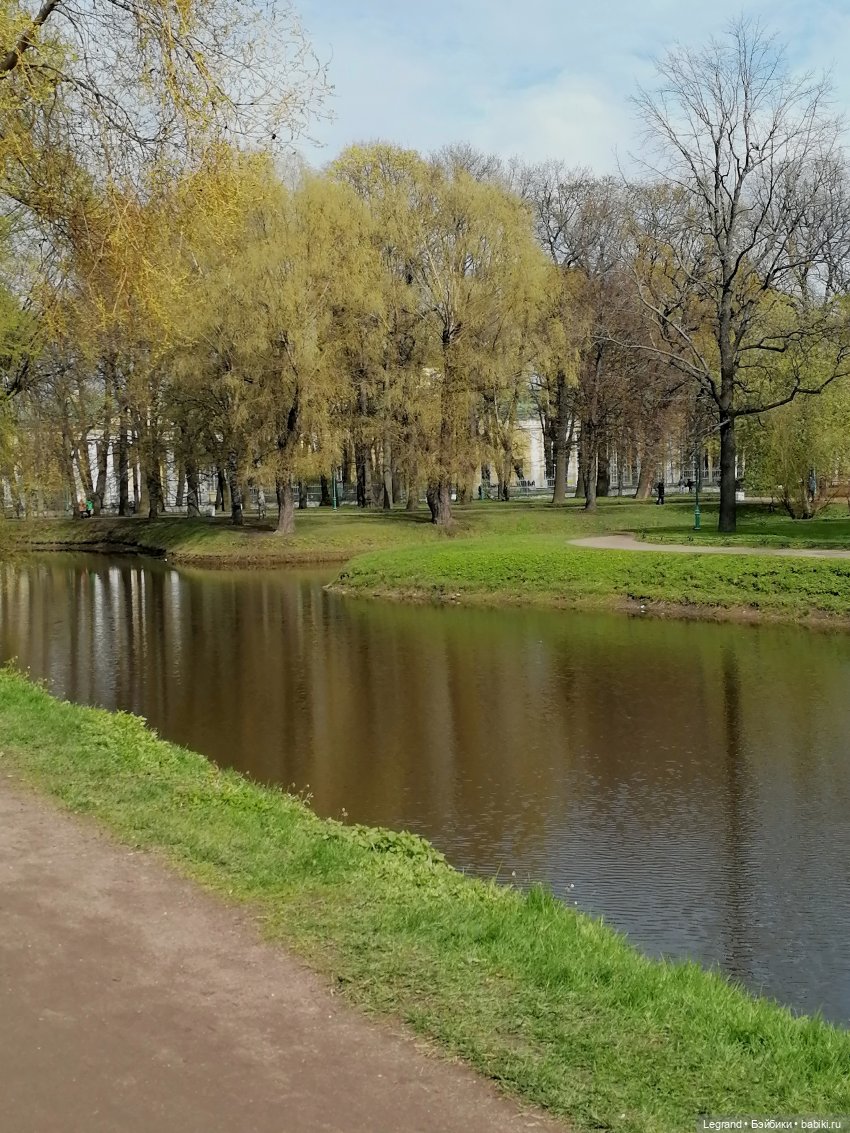 Санкт-Петербург: прогулка с собачками. Таврический сад (фото 9)