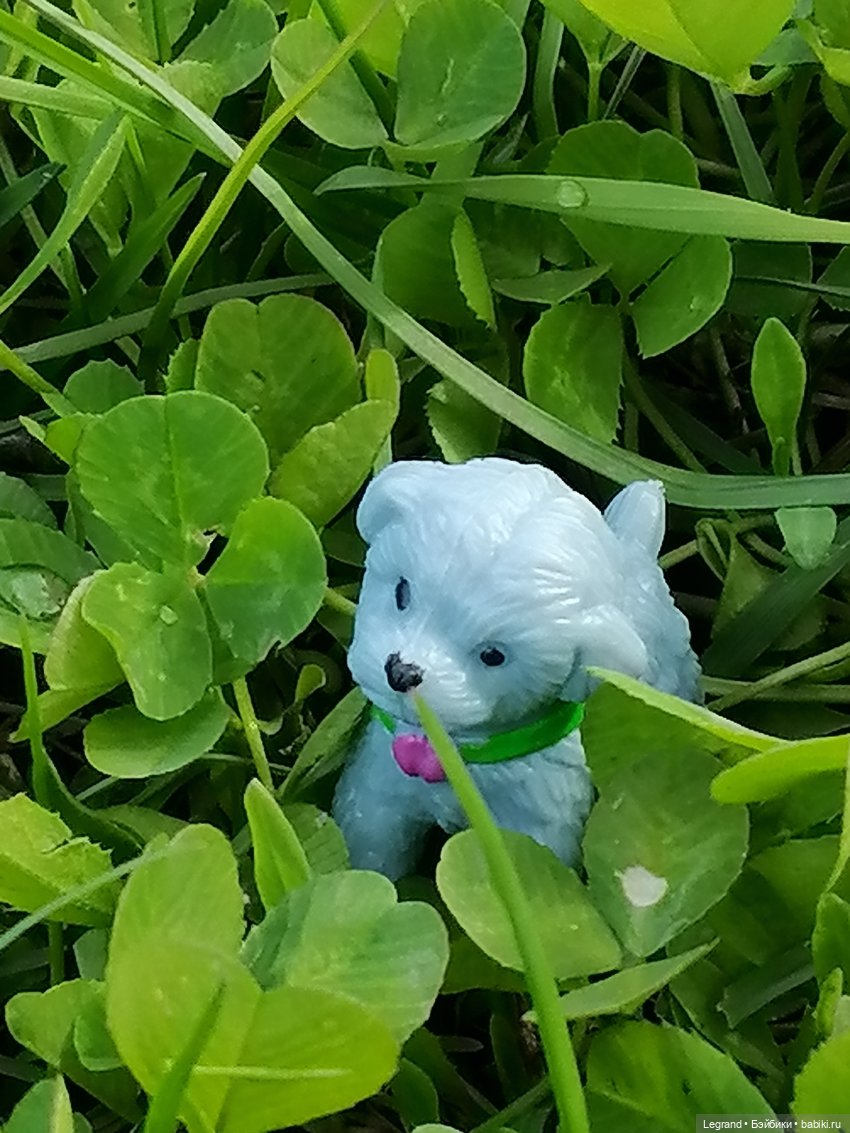 Санкт-Петербург: прогулка с собачками. Таврический сад