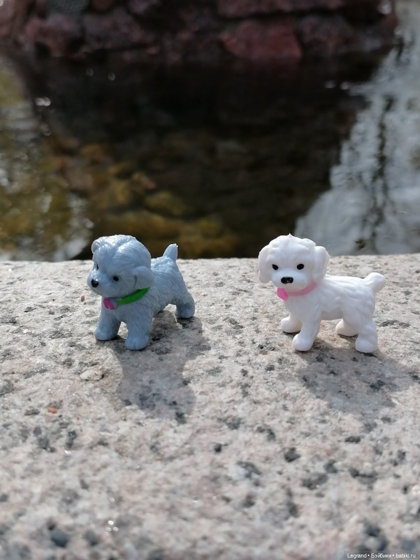 Санкт-Петербург: прогулка с собачками. У фонтанов