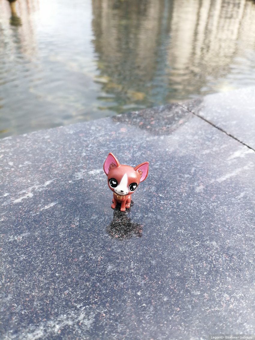 Санкт-Петербург: прогулка с собачками. У фонтанов