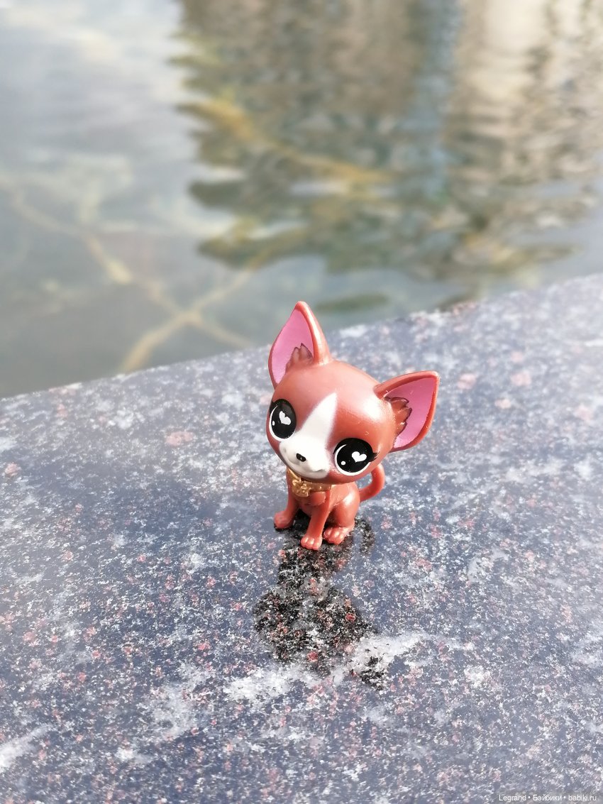 Санкт-Петербург: прогулка с собачками. У фонтанов