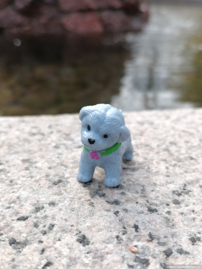 Санкт-Петербург: прогулка с собачками. У фонтанов (фото 4)