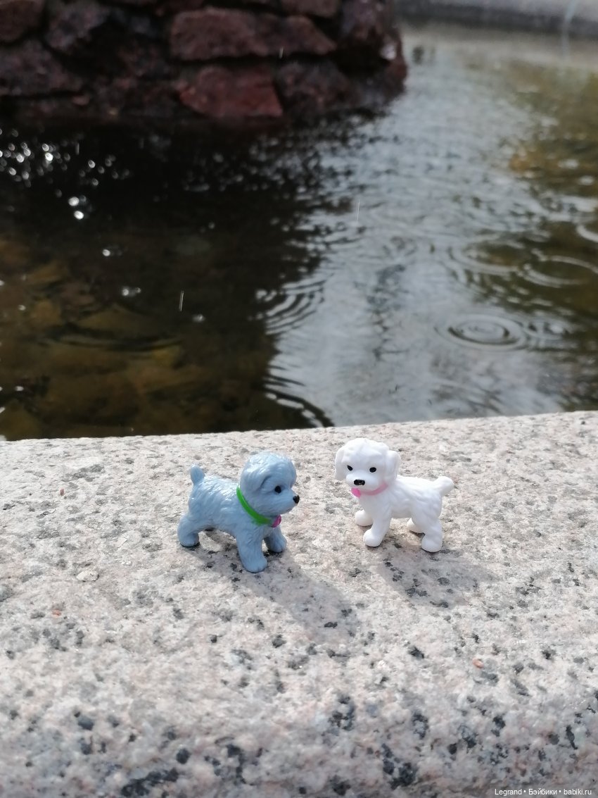 Санкт-Петербург: прогулка с собачками. У фонтанов (фото 9)