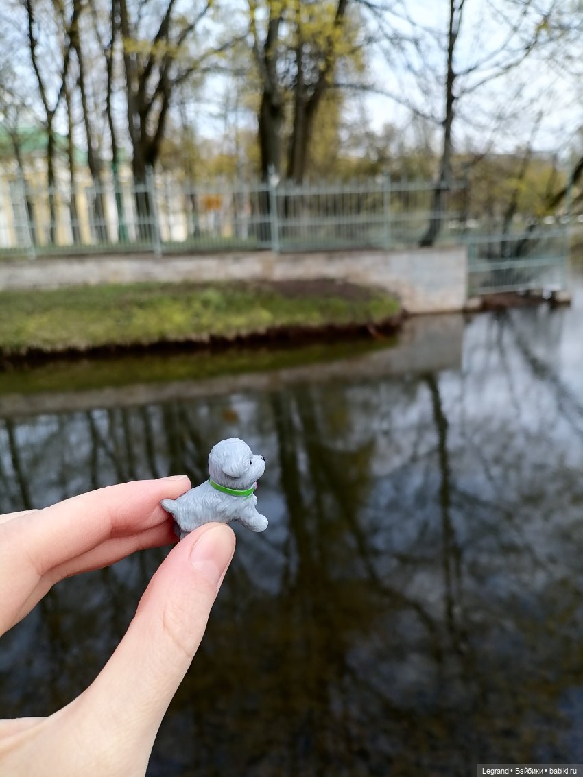 Санкт-Петербург: прогулка с собачками. Таврический сад