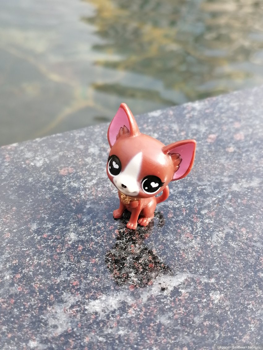 Санкт-Петербург: прогулка с собачками. У фонтанов