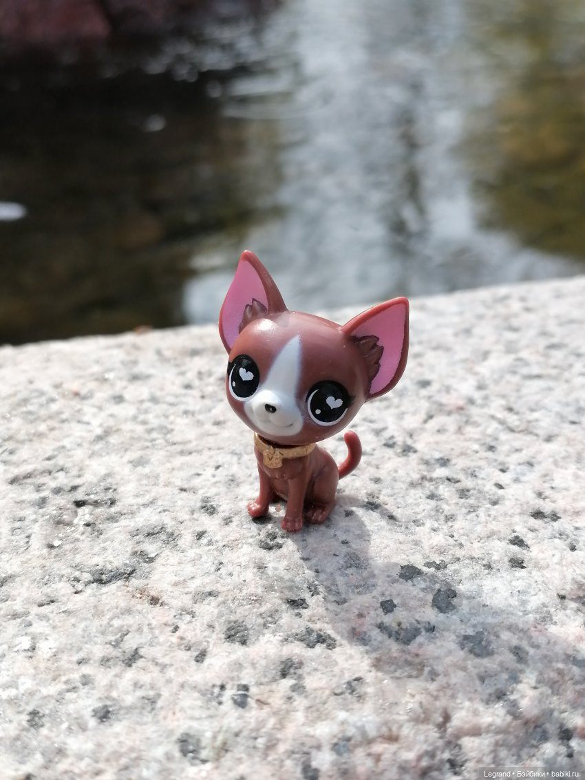 Санкт-Петербург: прогулка с собачками. У фонтанов