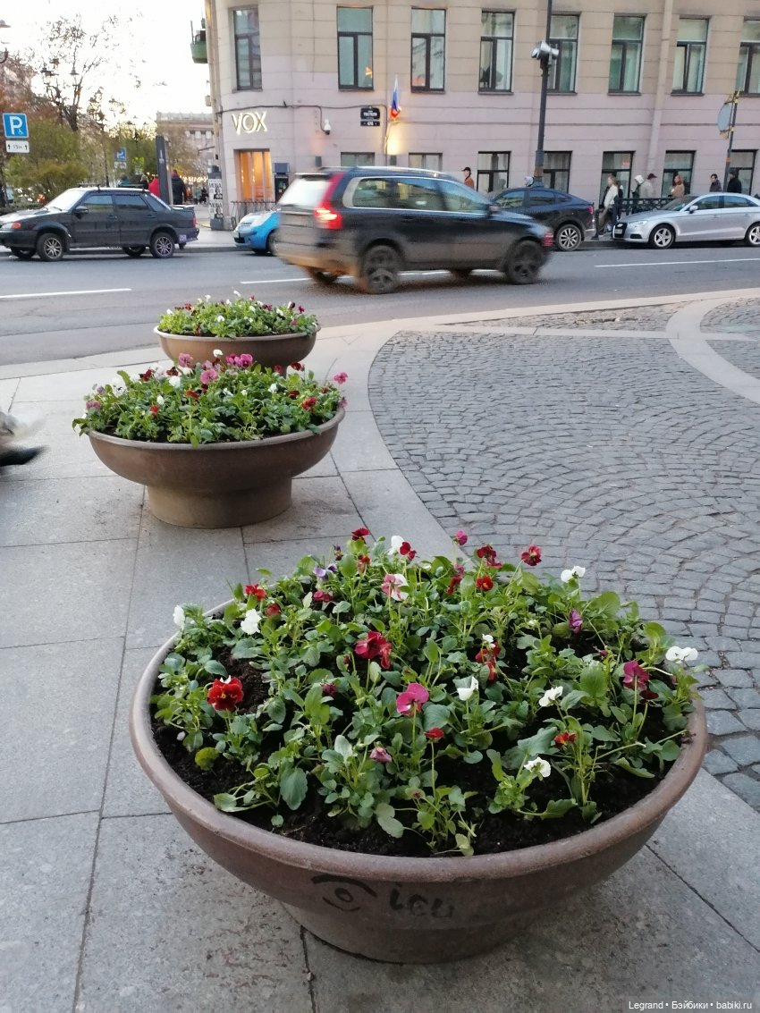 Санкт-Петербург: Мойка, Фонтанка, мосты