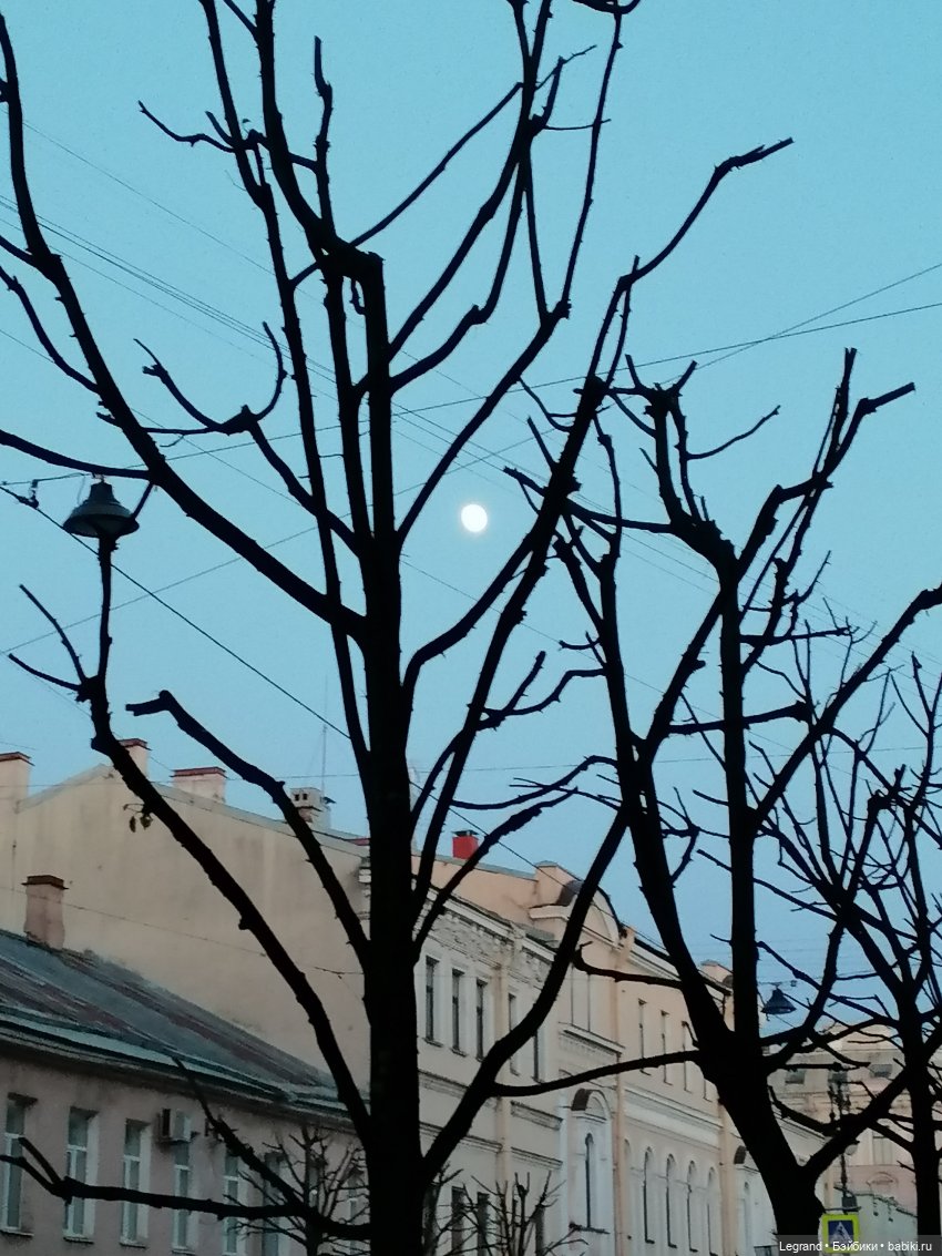 Санкт-Петербург: Мойка, Фонтанка, мосты