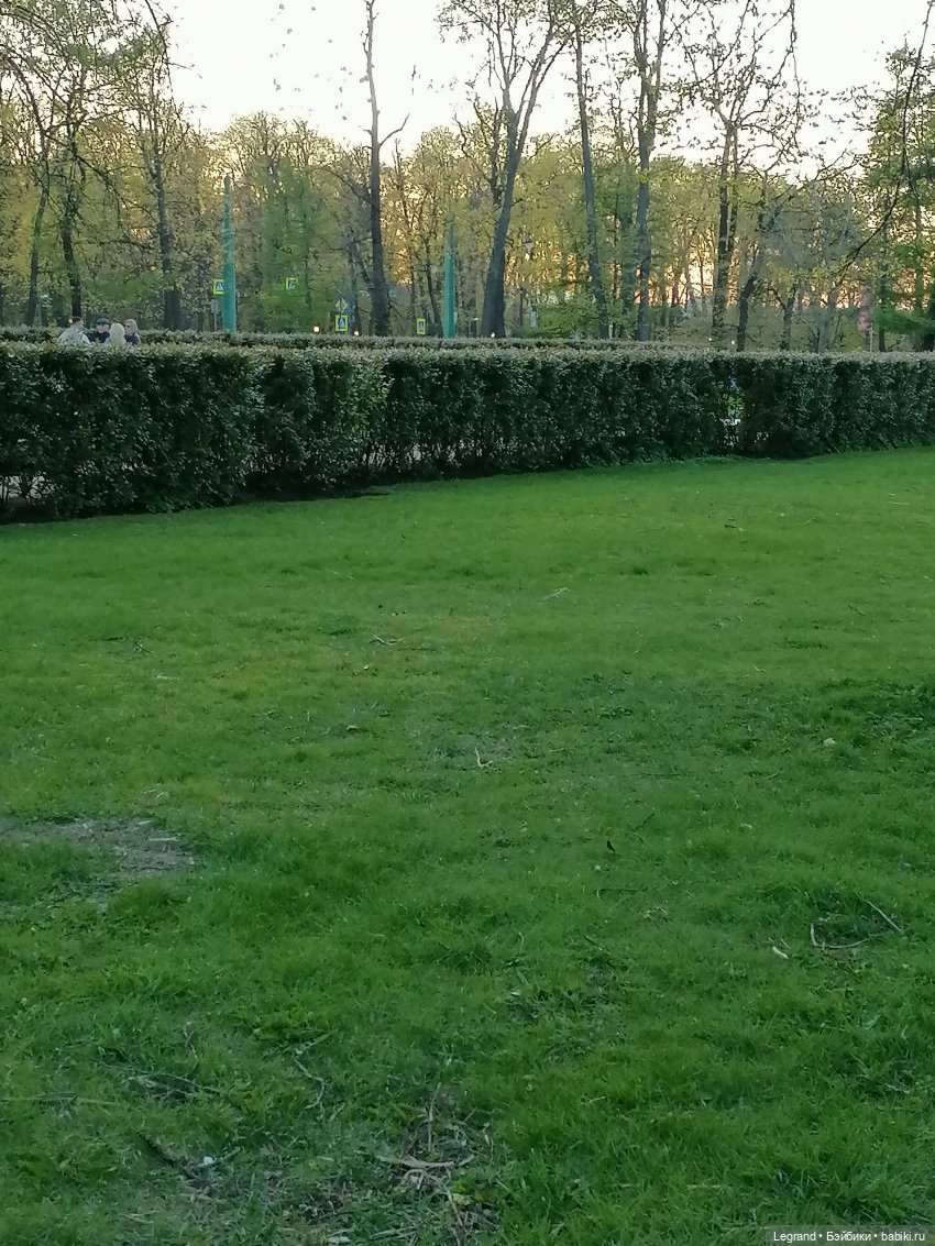 Санкт-Петербург: прогулка с Мишелем - возле Михайловского замка (фото 2)