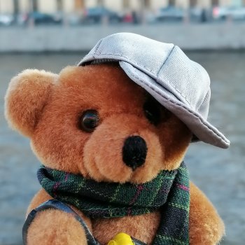 Санкт-Петербург: прогулка с Мишелем - Фонтанка