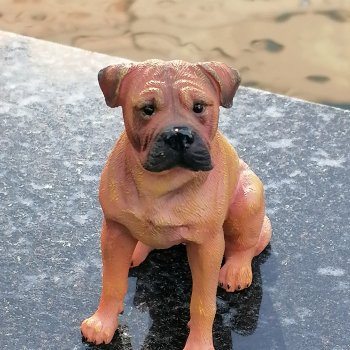 Санкт-Петербург: прогулка с Нордом