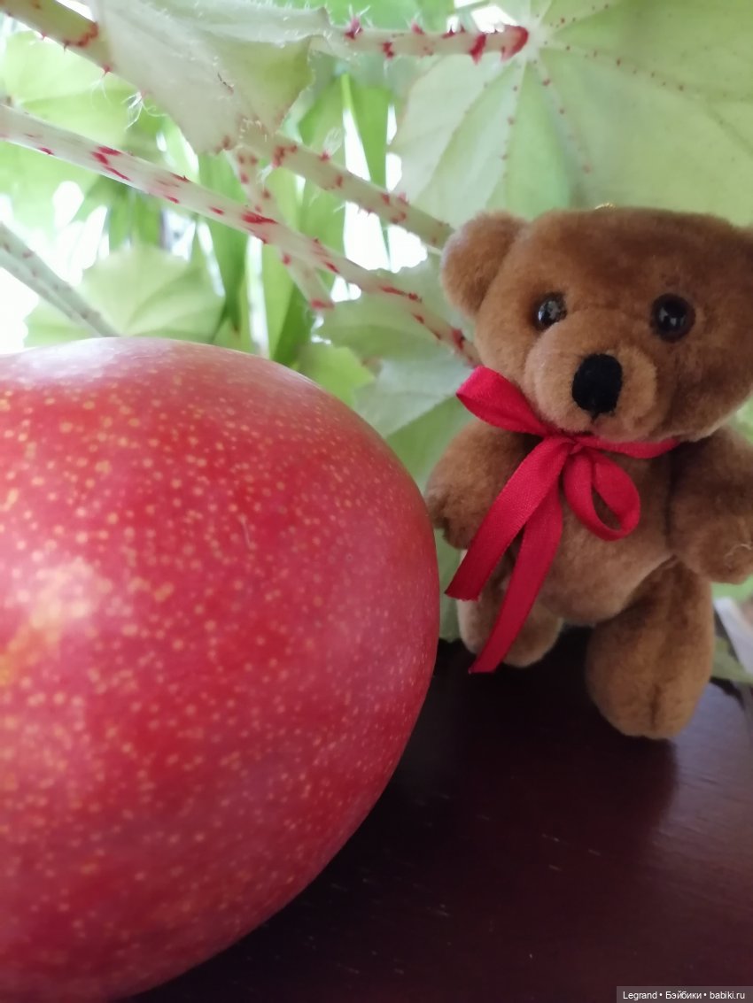 Мишель и королевское манго🥭