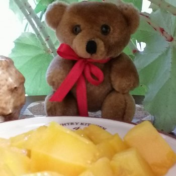 Мишель и королевское манго🥭