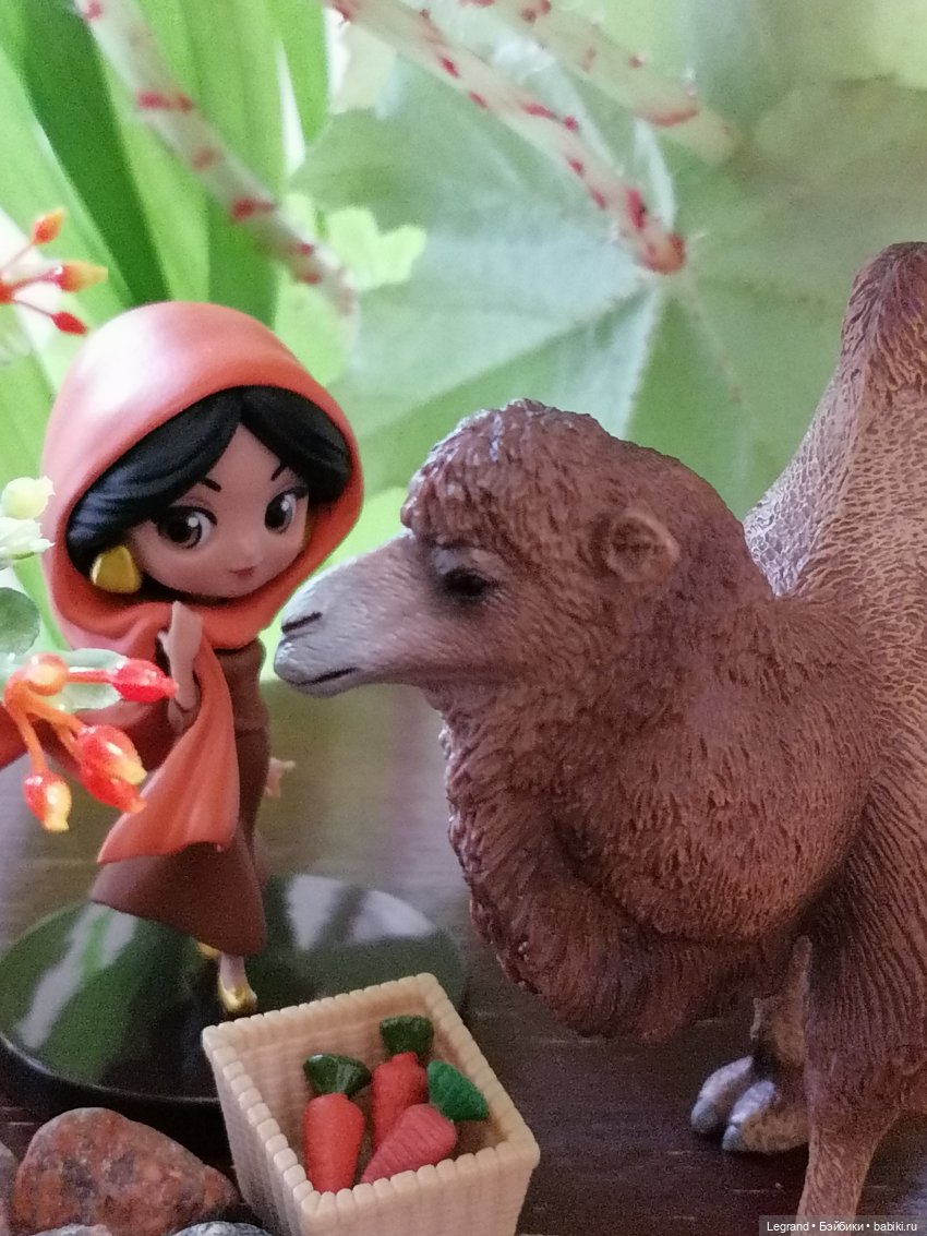 Верблюд в Лурении, или Жасмин и Кираз