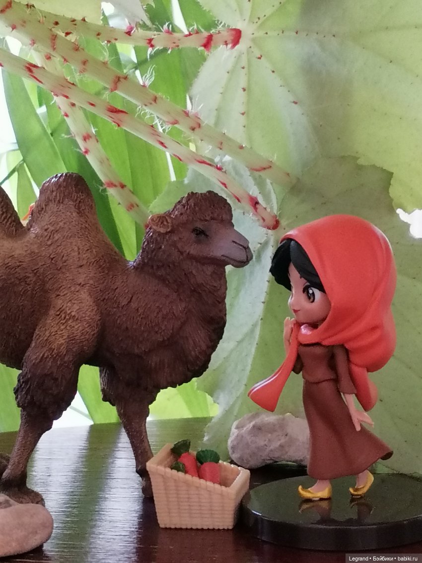 Верблюд в Лурении, или Жасмин и Кираз