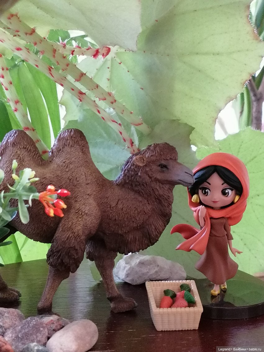 Верблюд в Лурении, или Жасмин и Кираз