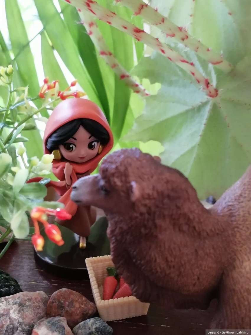 Верблюд в Лурении, или Жасмин и Кираз