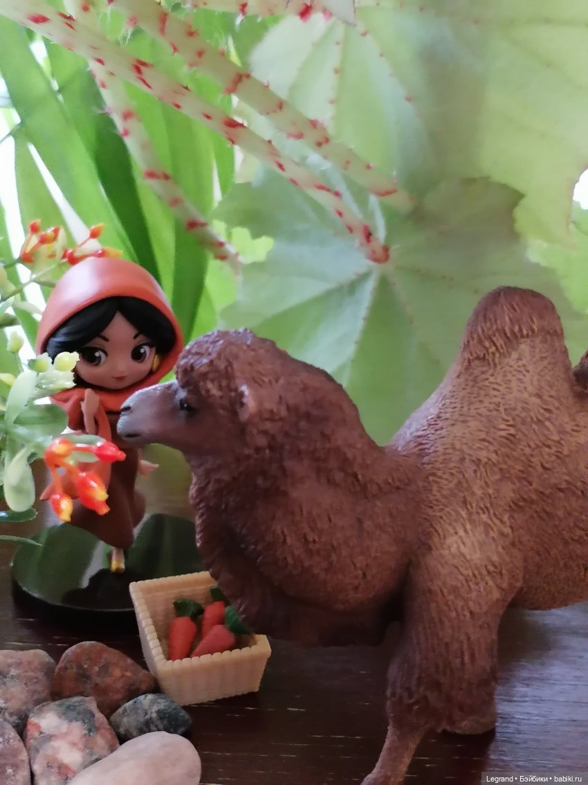 Верблюд в Лурении, или Жасмин и Кираз