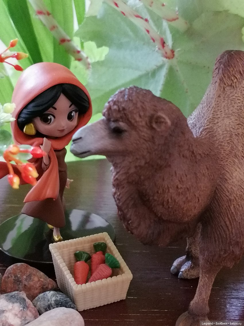 Верблюд в Лурении, или Жасмин и Кираз