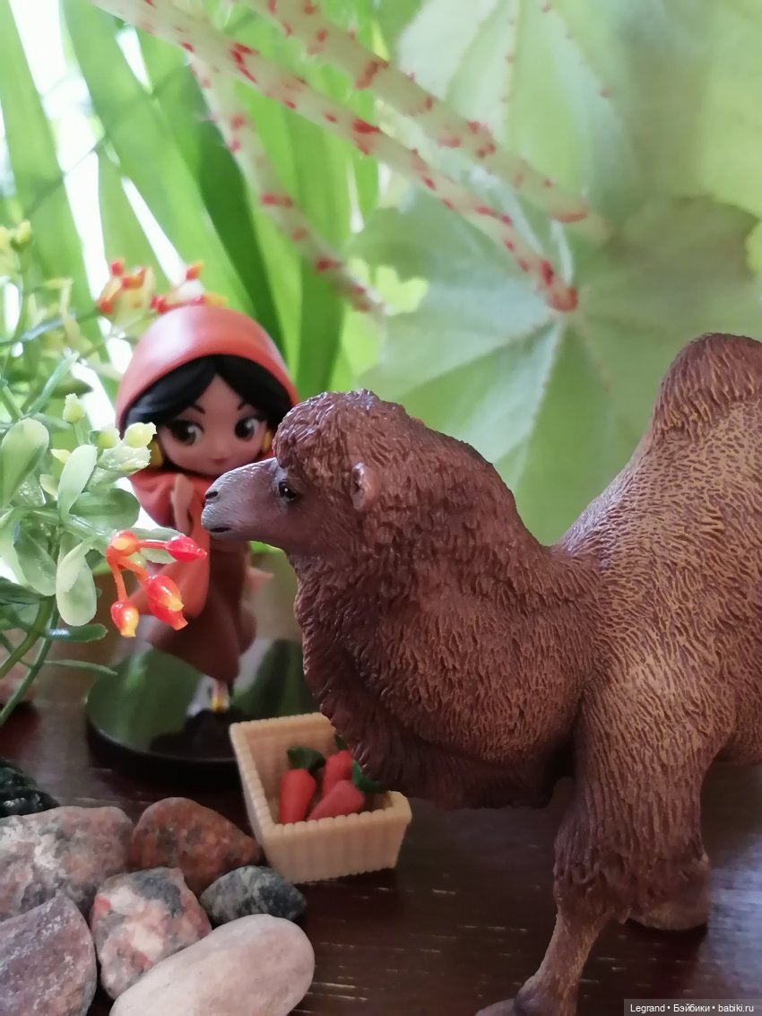 Верблюд в Лурении, или Жасмин и Кираз