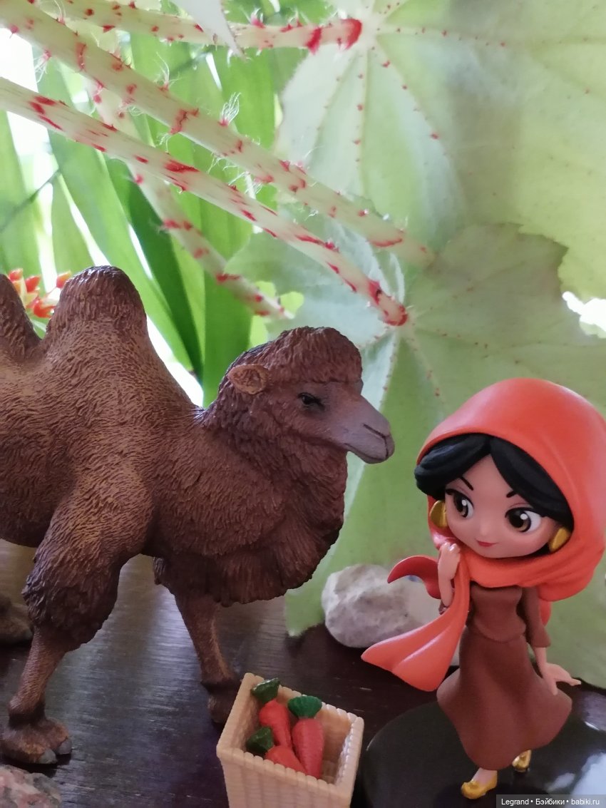 Верблюд в Лурении, или Жасмин и Кираз